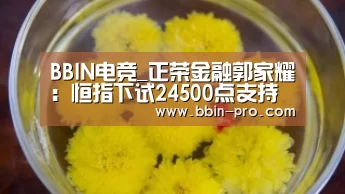 BBIN电竞_正荣金融郭家耀:恒指下试24500点支持 阻力在25500点(图1) BBIN电竞