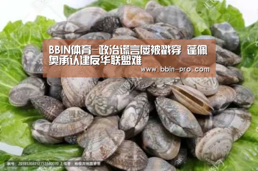 BBIN体育-政治谎言屡被戳穿 蓬佩奥承认建反华联盟难(图2) BBIN电竞