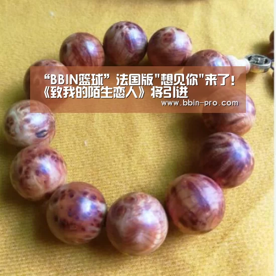 “BBIN篮球”法国版想见你来了!《致我的陌生恋人》将引进(图4) BBIN体育