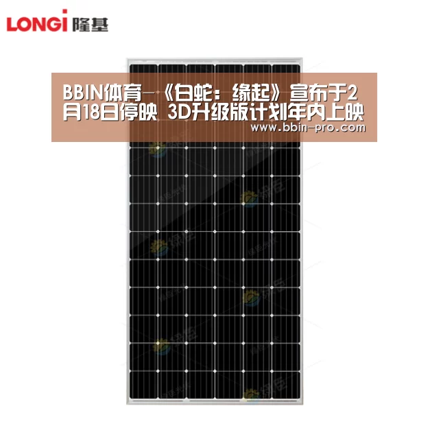 BBIN篮球